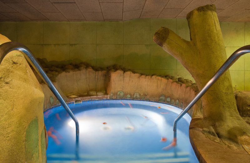 340_alta_senatorgranada Spa.jpg